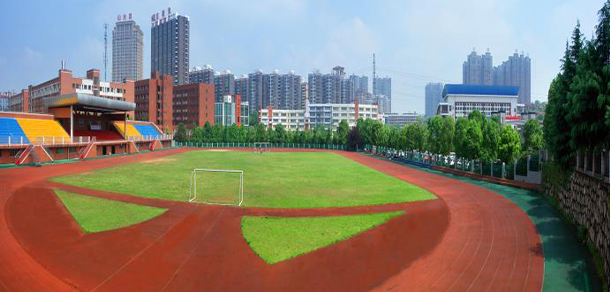 我的大學(xué)-大學(xué)志