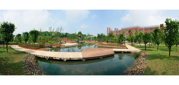 我的大學(xué)-大學(xué)志