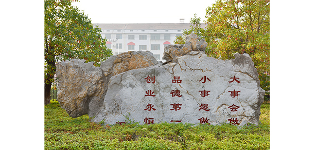 我的大學-大學志