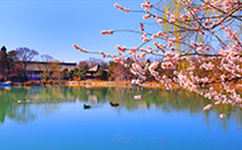 文化標(biāo)識：校名題寫 / ?；赵O(shè)計(jì)