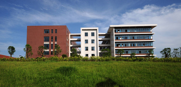 我的大學(xué)-大學(xué)志