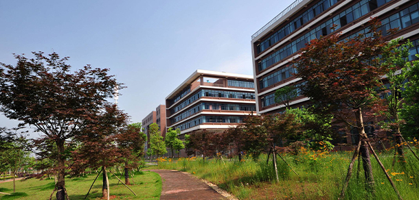 我的大學(xué)-大學(xué)志
