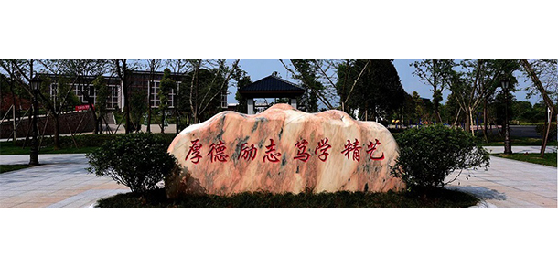 我的大學(xué)-大學(xué)志