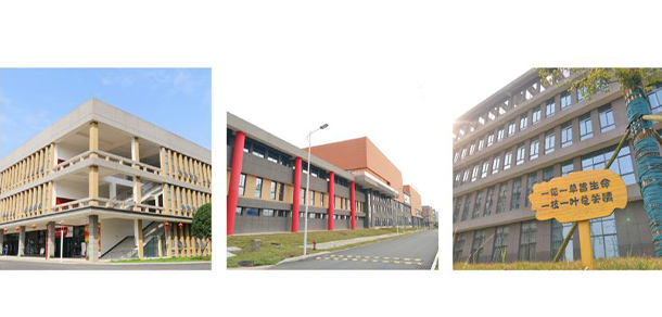 我的大學(xué)-大學(xué)志