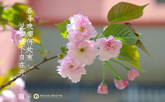 湖南石油化工職業(yè)技術(shù)學院 - 我的大學