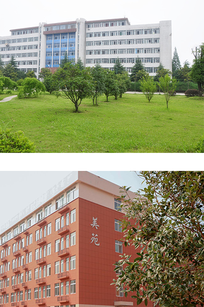 湖南石油化工職業(yè)技術(shù)學院