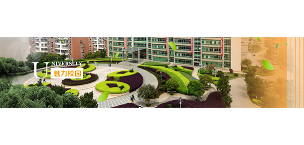 我的大學(xué)-大學(xué)志