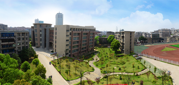 我的大學(xué)-大學(xué)志