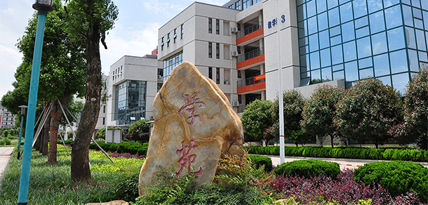 我的大學(xué)-大學(xué)志
