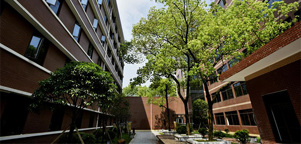 我的大學(xué)-大學(xué)志