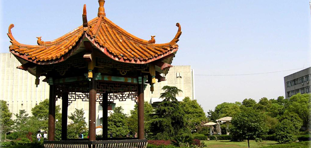我的大學(xué)-大學(xué)志