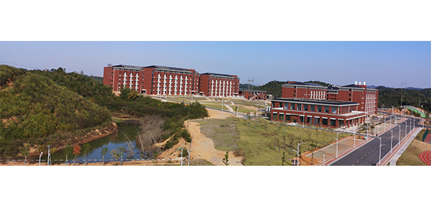 我的大學(xué)-大學(xué)志