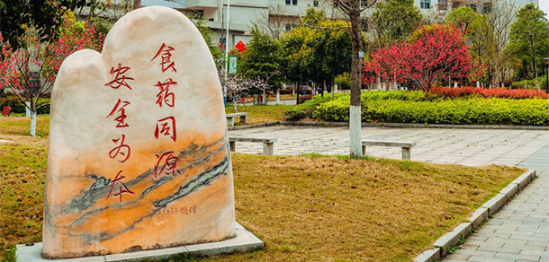 我的大學(xué)-大學(xué)志