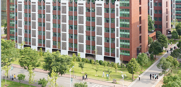 我的大學(xué)-大學(xué)志