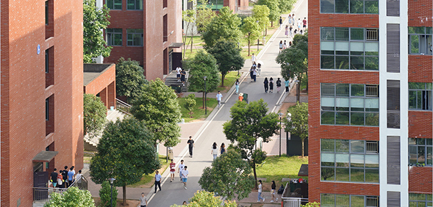 我的大學(xué)-大學(xué)志