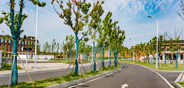 我的大學-大學志