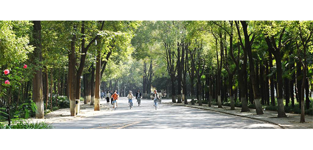 2022年招生分?jǐn)?shù)