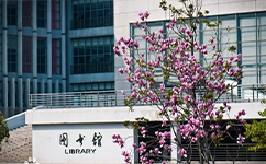 文化標(biāo)識：校名題寫 / ?；赵O(shè)計