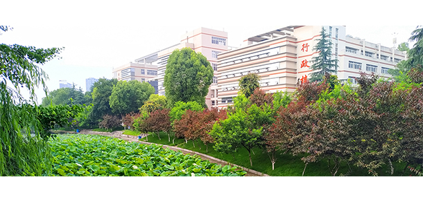我的大學(xué)-大學(xué)志