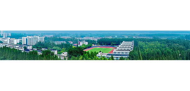 我的大學(xué)-大學(xué)志