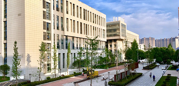 我的大學(xué)-大學(xué)志