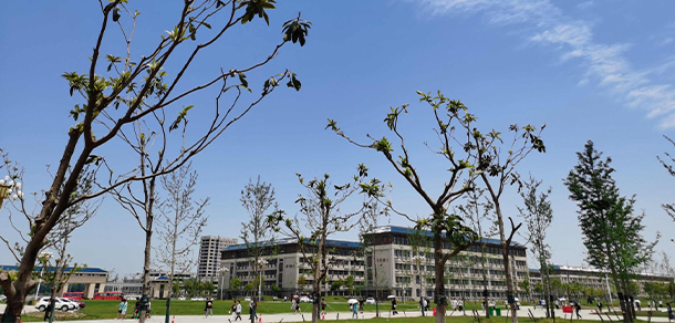 我的大學(xué)-大學(xué)志