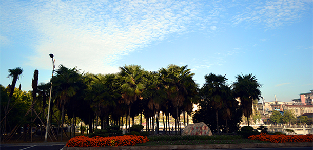我的大學(xué)-大學(xué)志