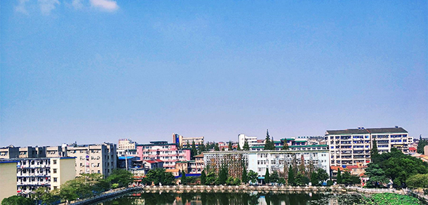 我的大學(xué)-大學(xué)志