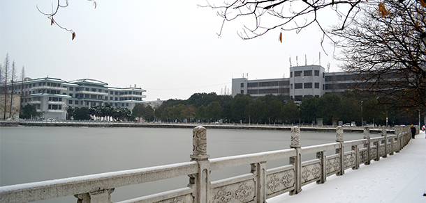 我的大學(xué)-大學(xué)志