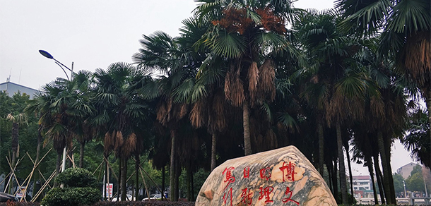 我的大學(xué)-大學(xué)志