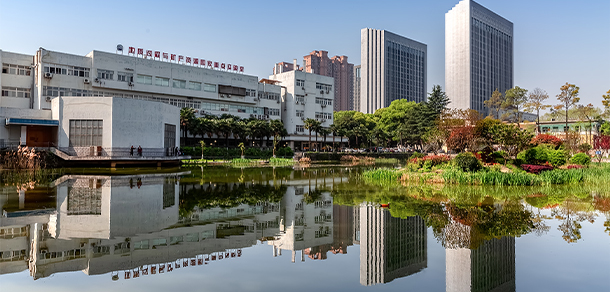 我的大學(xué)-大學(xué)志