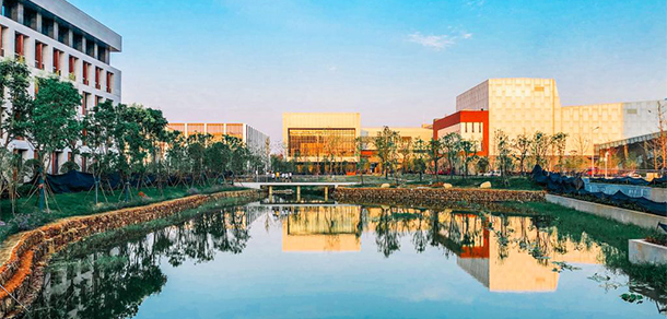 我的大學(xué)-大學(xué)志