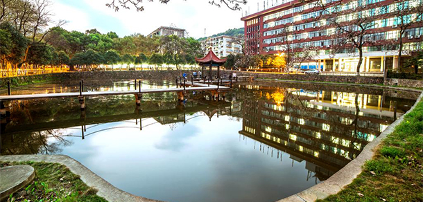 我的大學(xué)-大學(xué)志