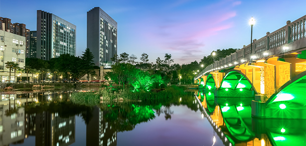 我的大學(xué)-大學(xué)志