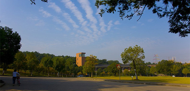 我的大學(xué)-大學(xué)志