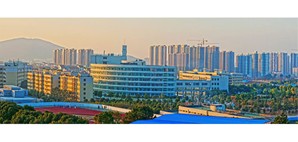 我的大學(xué)-大學(xué)志