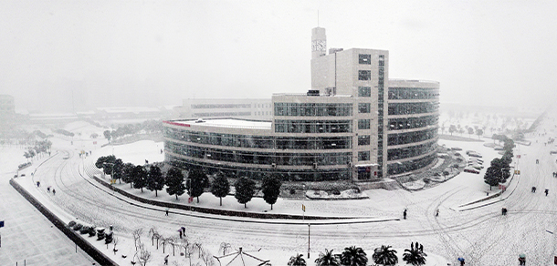 我的大學(xué)-大學(xué)志