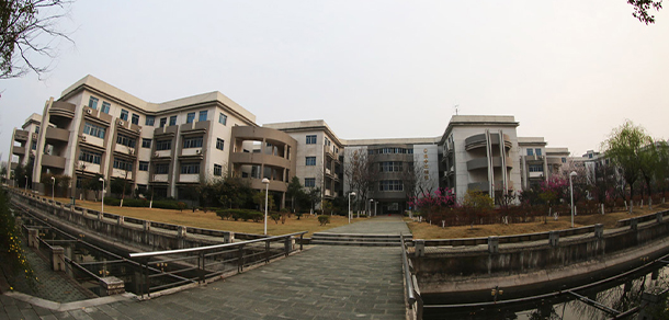 我的大學(xué)-大學(xué)志