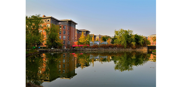 我的大學(xué)-大學(xué)志