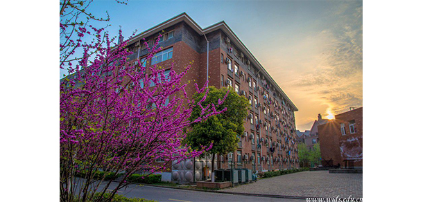 我的大學(xué)-大學(xué)志