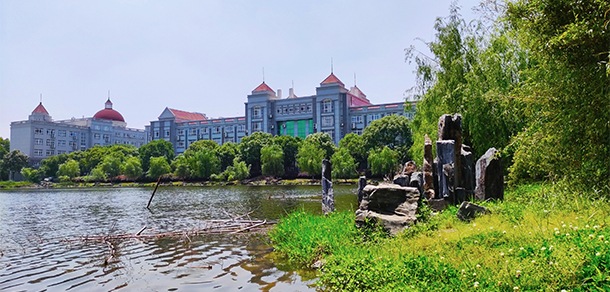 我的大學-大學志