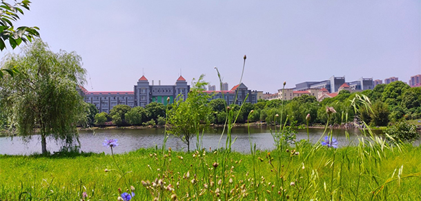 我的大學-大學志