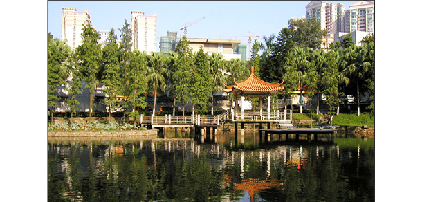 我的大學(xué)-大學(xué)志
