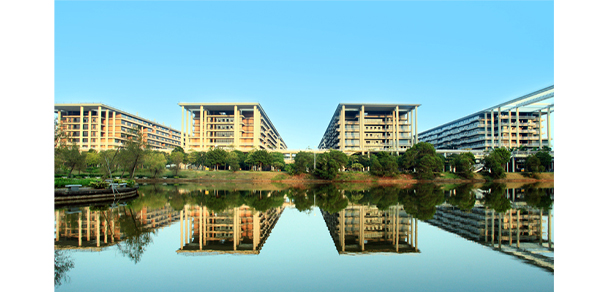 我的大學(xué)-大學(xué)志