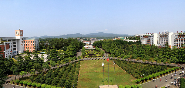 我的大學(xué)-大學(xué)志