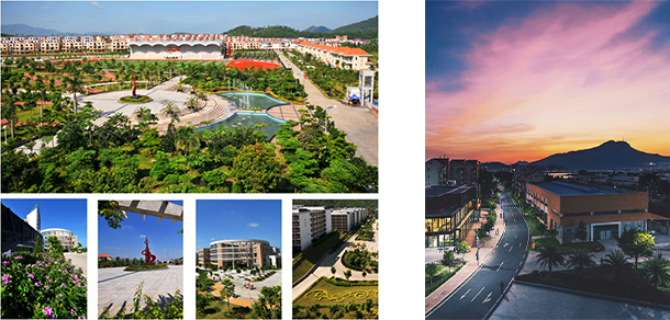 我的大學-大學志