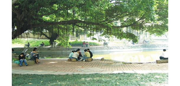 我的大學(xué)-大學(xué)志
