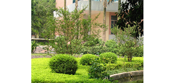 我的大學(xué)-大學(xué)志