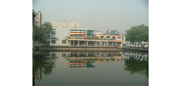 我的大學(xué)-大學(xué)志