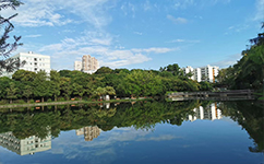招生公告 · 招生簡(jiǎn)章 · 招生計(jì)劃